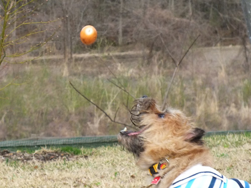 DSCF0489.jpg