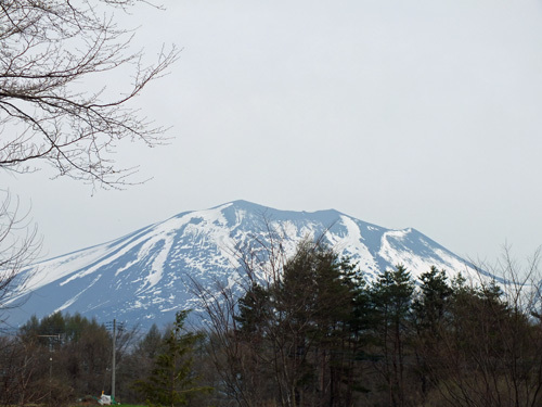 DSCF0501.jpg