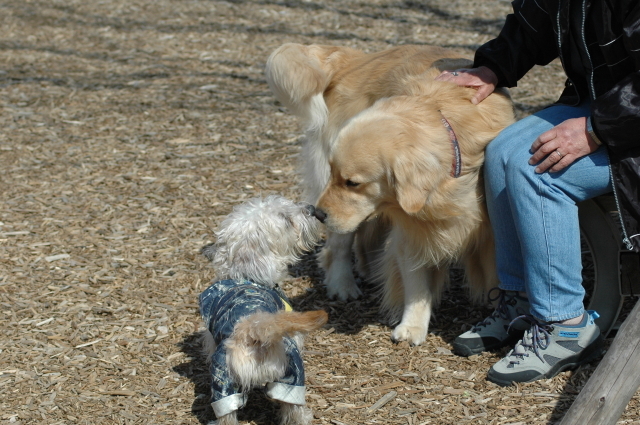 DSC_0250_2.jpg