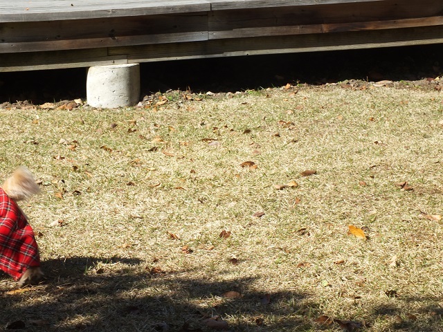 S0071452.jpg