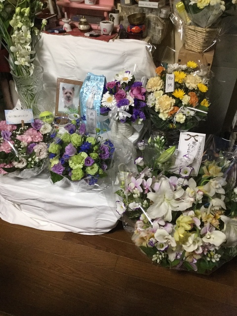 image1.jpeg